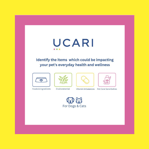 Dog Wellness: Taste Tester Bio-Match Service